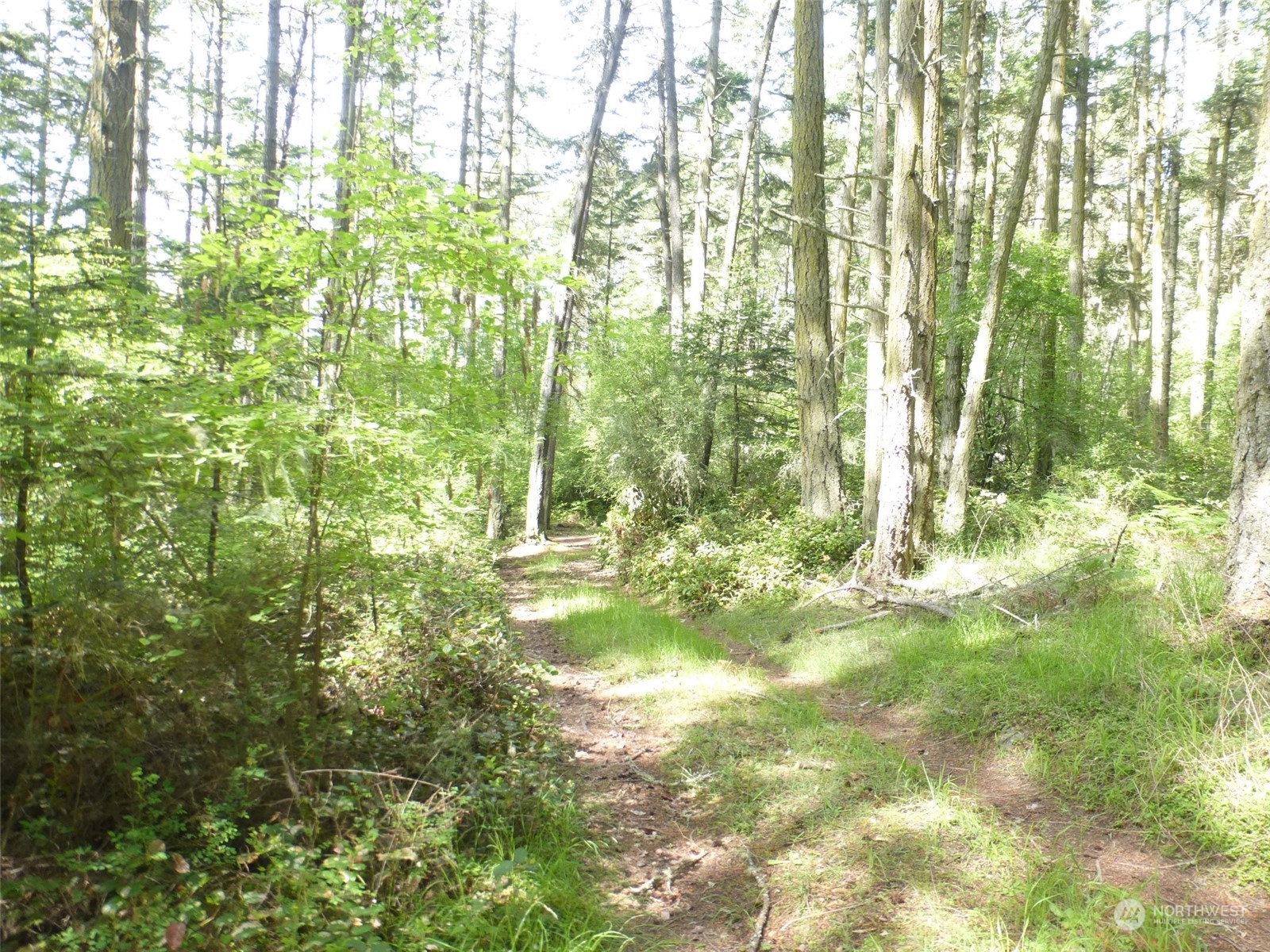 353 Skid Road Lopez Island, WA 98261 - Photo 11 of 17 Gallery Image 11