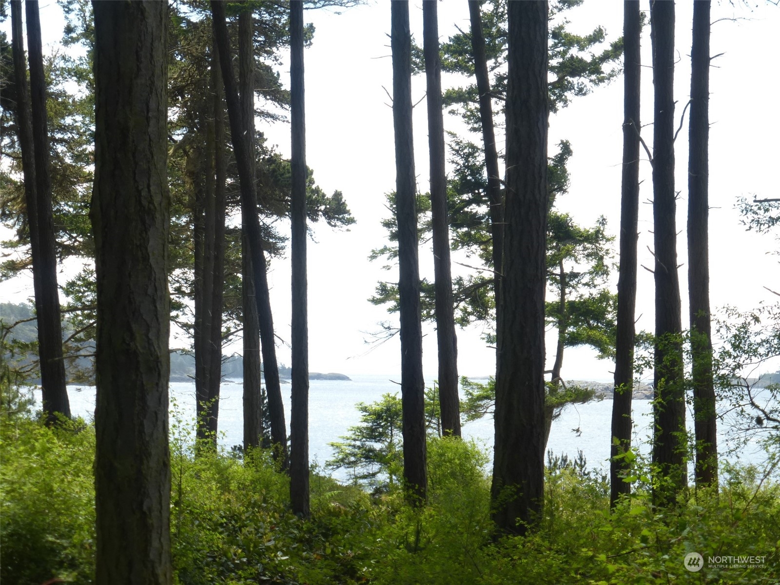353 Skid Road Lopez Island, WA 98261 - Photo 13 of 17 Gallery Image 13