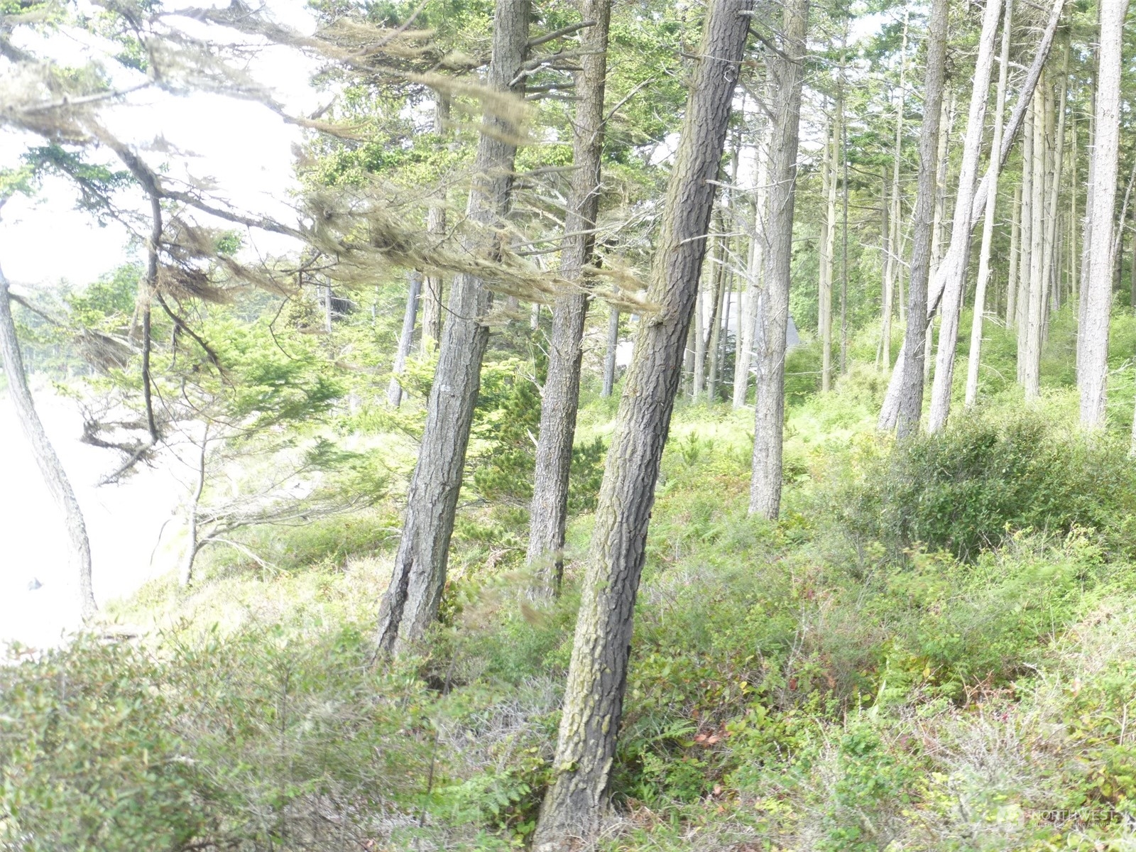 353 Skid Road Lopez Island, WA 98261 - Photo 16 of 17 Gallery Image 16