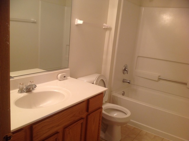1588 McClure Road, Unit 1588 Aurora, IL 60505 - Photo 7 of 8 a bathroom with a sink a toilet and shower