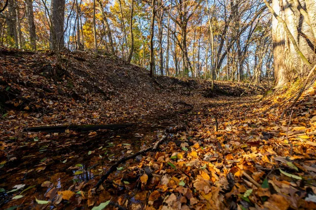 $1,500,000 | Tbd Flamingo Street Northwest, Oak Grove, MN 55011