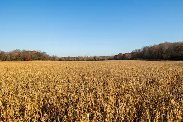 $1,500,000 | Tbd Flamingo Street Northwest, Oak Grove, MN 55011