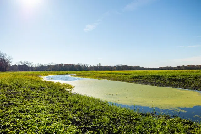 $1,500,000 | Tbd Flamingo Street Northwest, Oak Grove, MN 55011