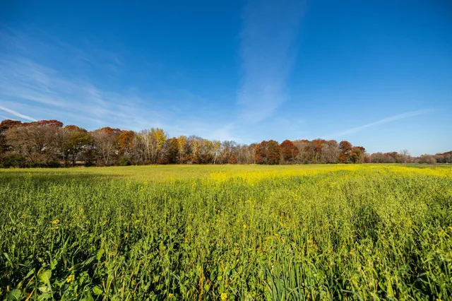 $1,500,000 | Tbd Flamingo Street Northwest, Oak Grove, MN 55011