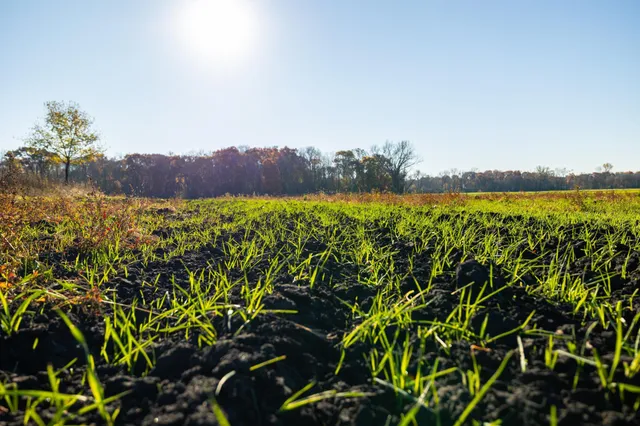 $1,500,000 | Tbd Flamingo Street Northwest, Oak Grove, MN 55011