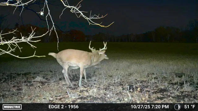 $1,500,000 | Tbd Flamingo Street Northwest, Oak Grove, MN 55011