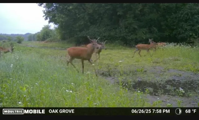 $1,500,000 | Tbd Flamingo Street Northwest, Oak Grove, MN 55011