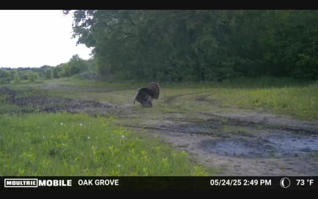 $1,500,000 | Tbd Flamingo Street Northwest, Oak Grove, MN 55011