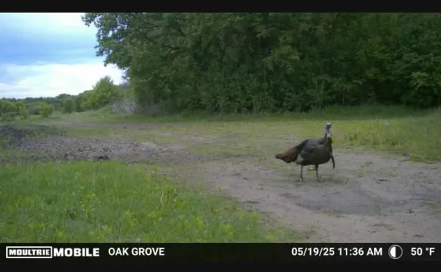 $1,500,000 | Tbd Flamingo Street Northwest, Oak Grove, MN 55011