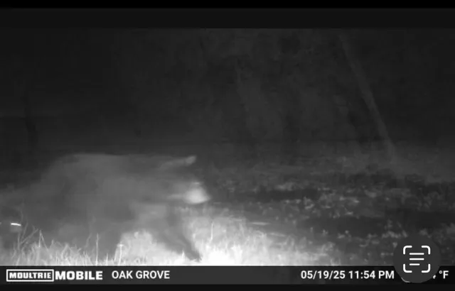 $1,500,000 | Tbd Flamingo Street Northwest, Oak Grove, MN 55011