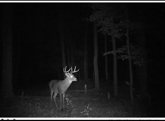 $1,500,000 | Tbd Flamingo Street Northwest, Oak Grove, MN 55011