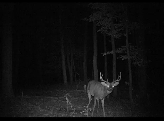 $1,500,000 | Tbd Flamingo Street Northwest, Oak Grove, MN 55011