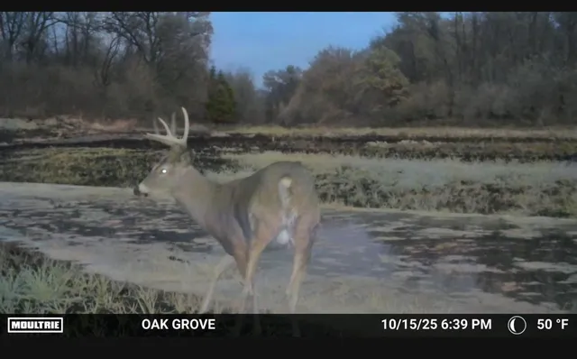 $1,500,000 | Tbd Flamingo Street Northwest, Oak Grove, MN 55011