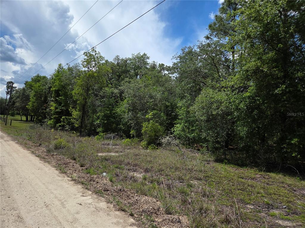 0 Northeast 73rd Lane Bronson, FL 32621 - Photo 6 of 8
