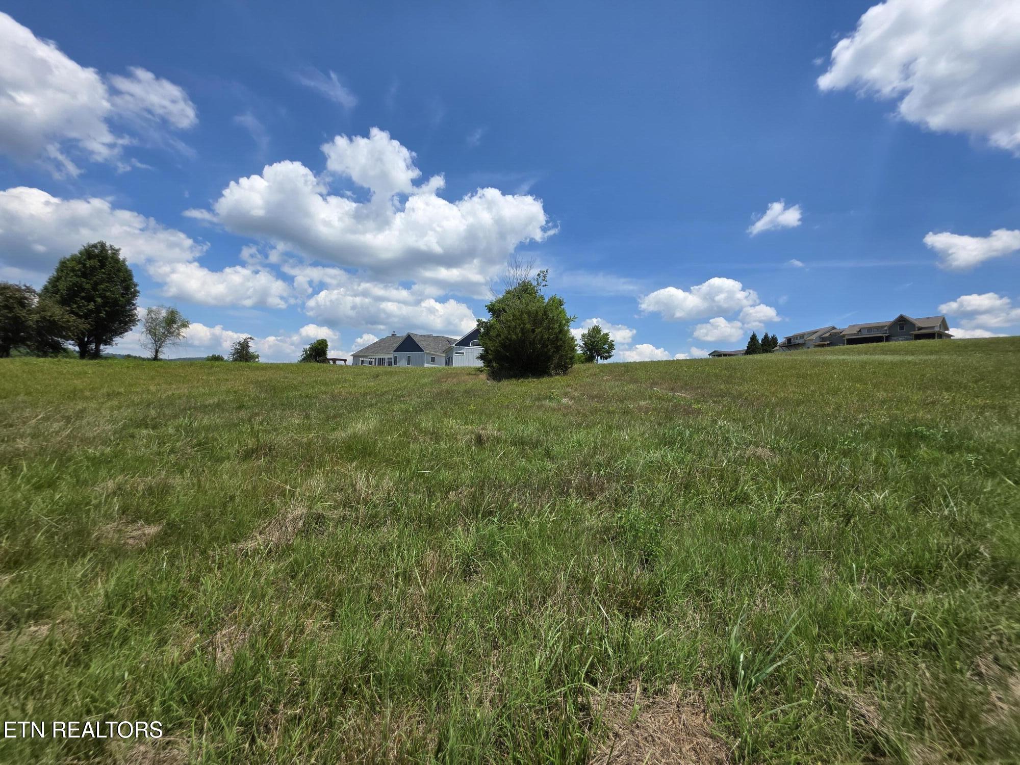 Fishers Loop Sharps Chapel, TN 37866 - Photo 16 of 18 Road to back of lot