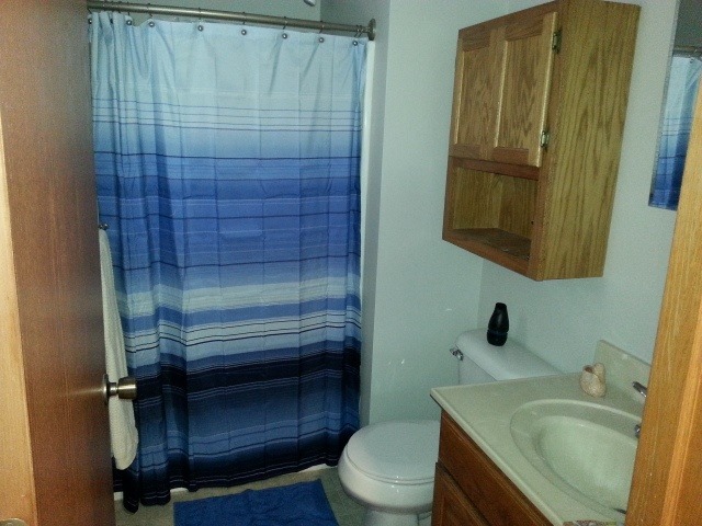 2419 Quarry Road Ashton, IL 61006 - Photo 13 of 25 a bathroom with a sink a toilet and shower