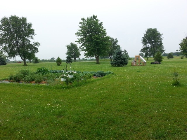 2419 Quarry Road Ashton, IL 61006 - Photo 24 of 25 a view of a grassy field with trees