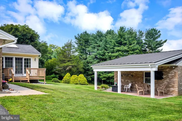 a view of a garden with a tree