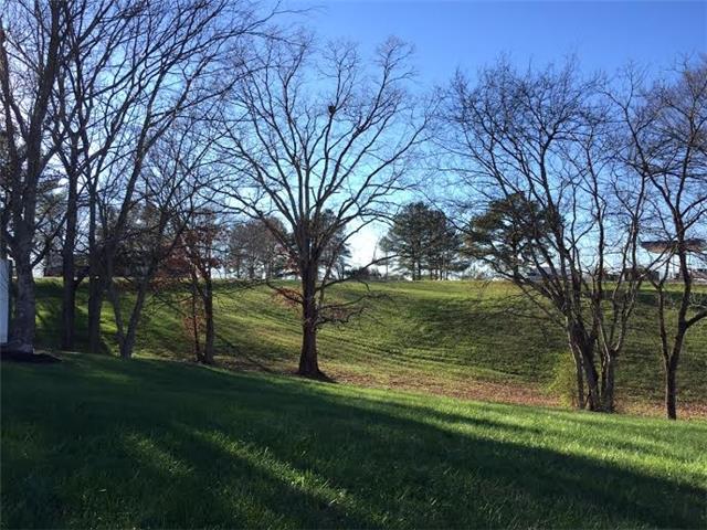 127 Mrs Gower Road Lawrenceburg, TN 38464 - Photo 20 of 20 Gallery Image 20