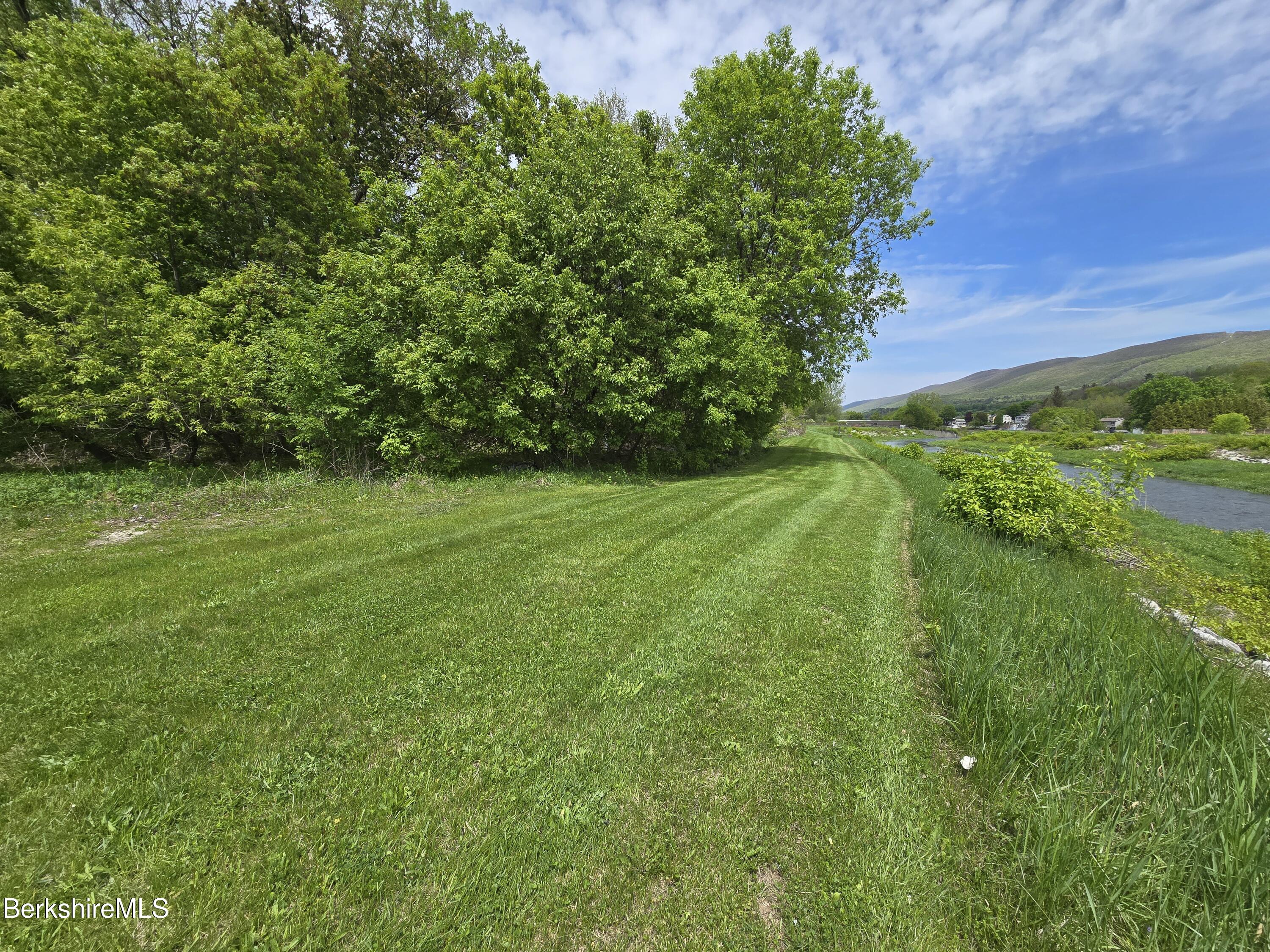 0 Albert Street Adams, MA 01220 - Photo 2 of 4 a view of a green field with lots of bushes
