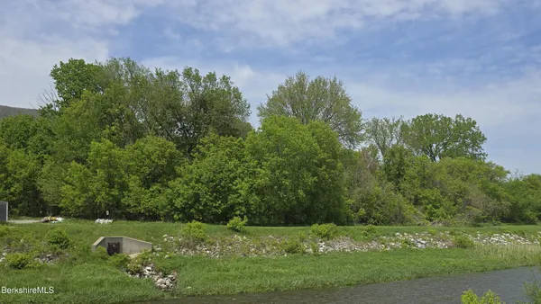 a big yard with lots of green space and deers