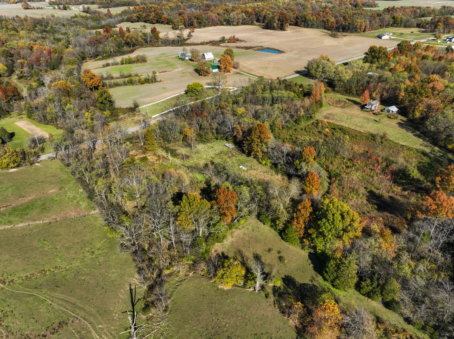 7530 Highway 250 Bennington, IN 47011 - Photo 4 of 15