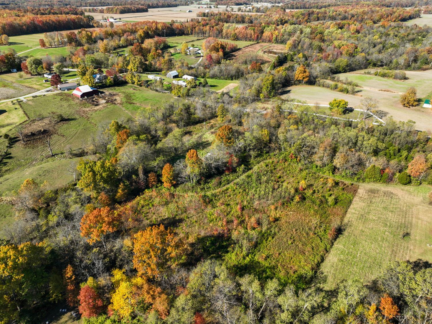 7530 Highway 250 Bennington, IN 47011 - Photo 6 of 15