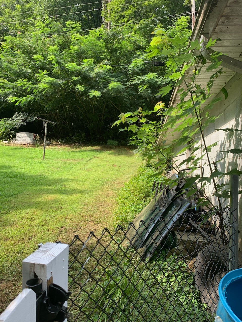 80 Free Hill Road Celina, TN 38551 - Photo 39 of 45 Gallery Image 39