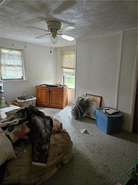 2945 Hills Church Road Export, PA 15632 - Photo 19 of 24 a living room with furniture and a window