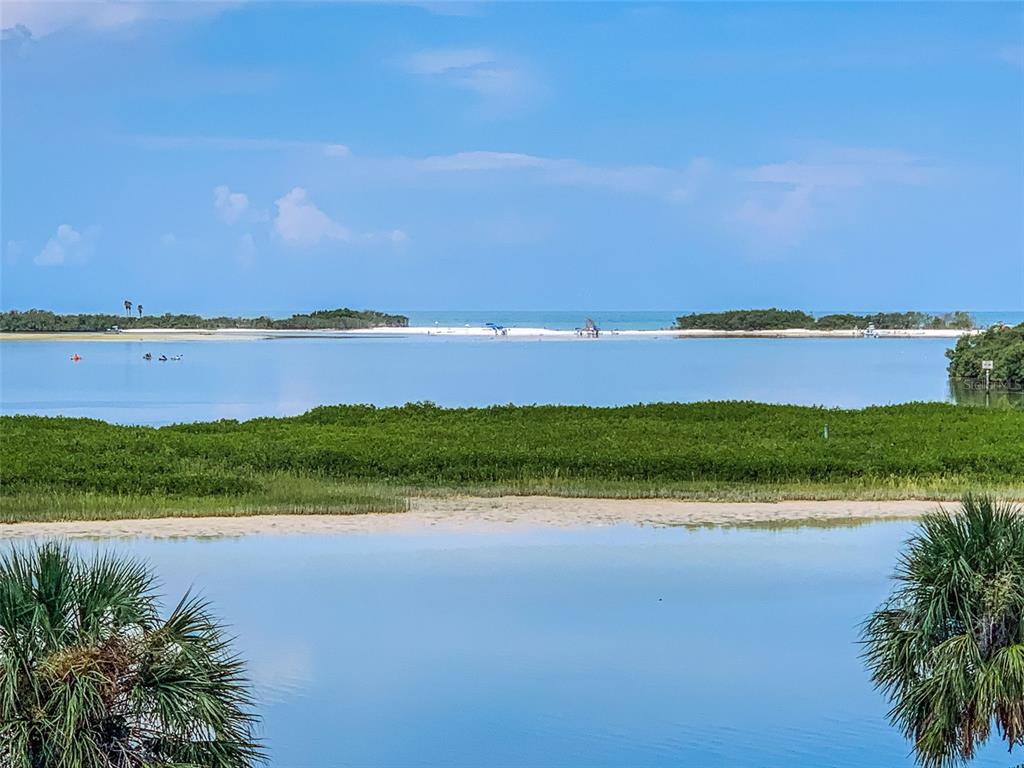 795 Collany Road, Unit 302 Tierra Verde, FL 33715 - Photo 15 of 71 Gallery Image 15