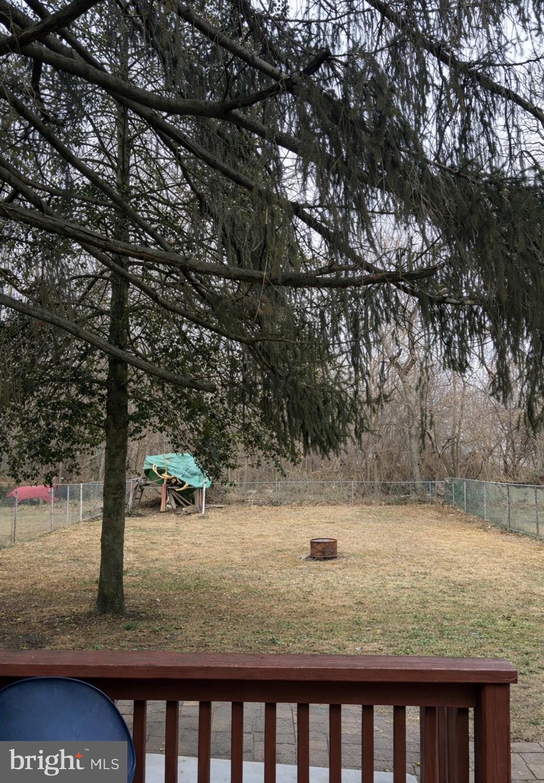 2 Blacks Terrace Paulsboro, NJ 08066 - Photo 23 of 24 a view of a yard from a tree