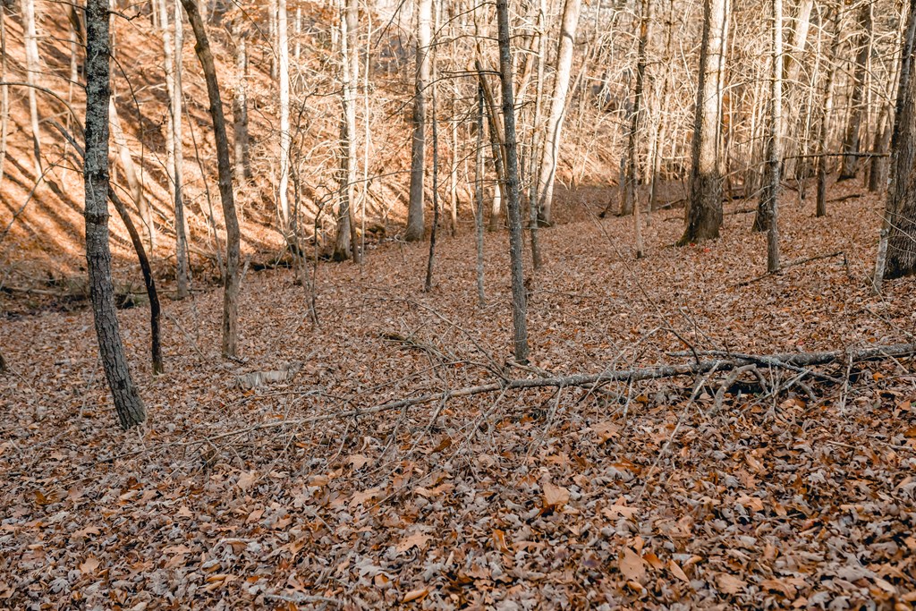 Lot 63 Ridges Of Blue Ridge Blue Ridge, GA 30513 - Photo 3 of 8 Gallery Image 3