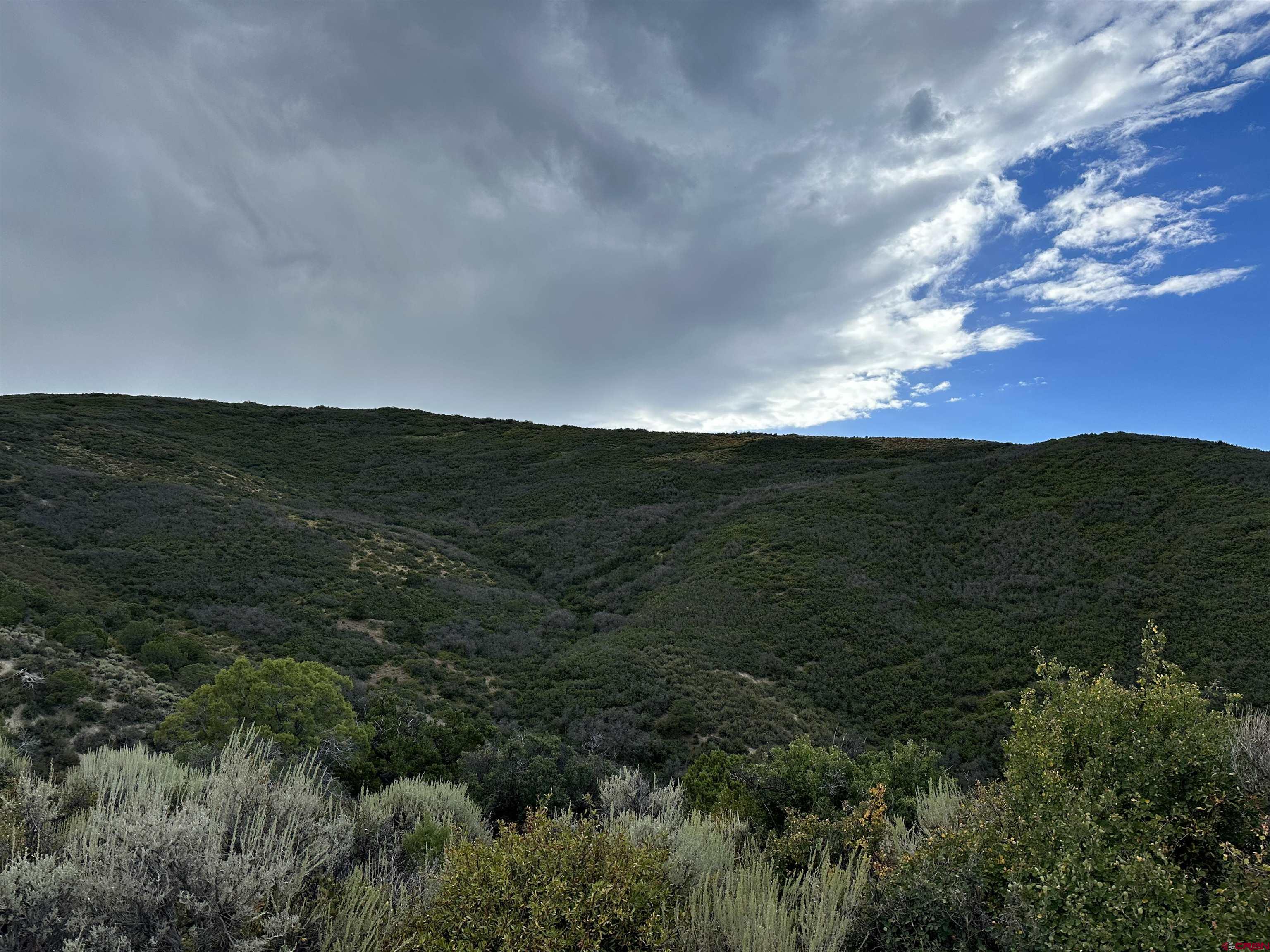 Tract 26 Cathedral Peak Ranch Crawford, CO 81415 - Photo 8 of 13 a view of a lush green space with sea