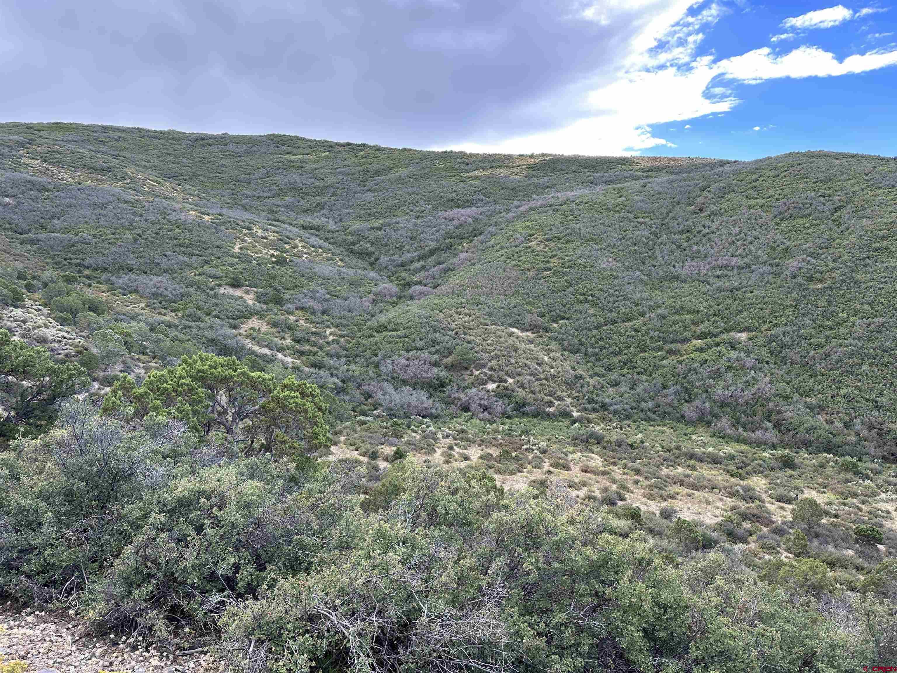 Tract 26 Cathedral Peak Ranch Crawford, CO 81415 - Photo 9 of 13 a view of a field with an ocean