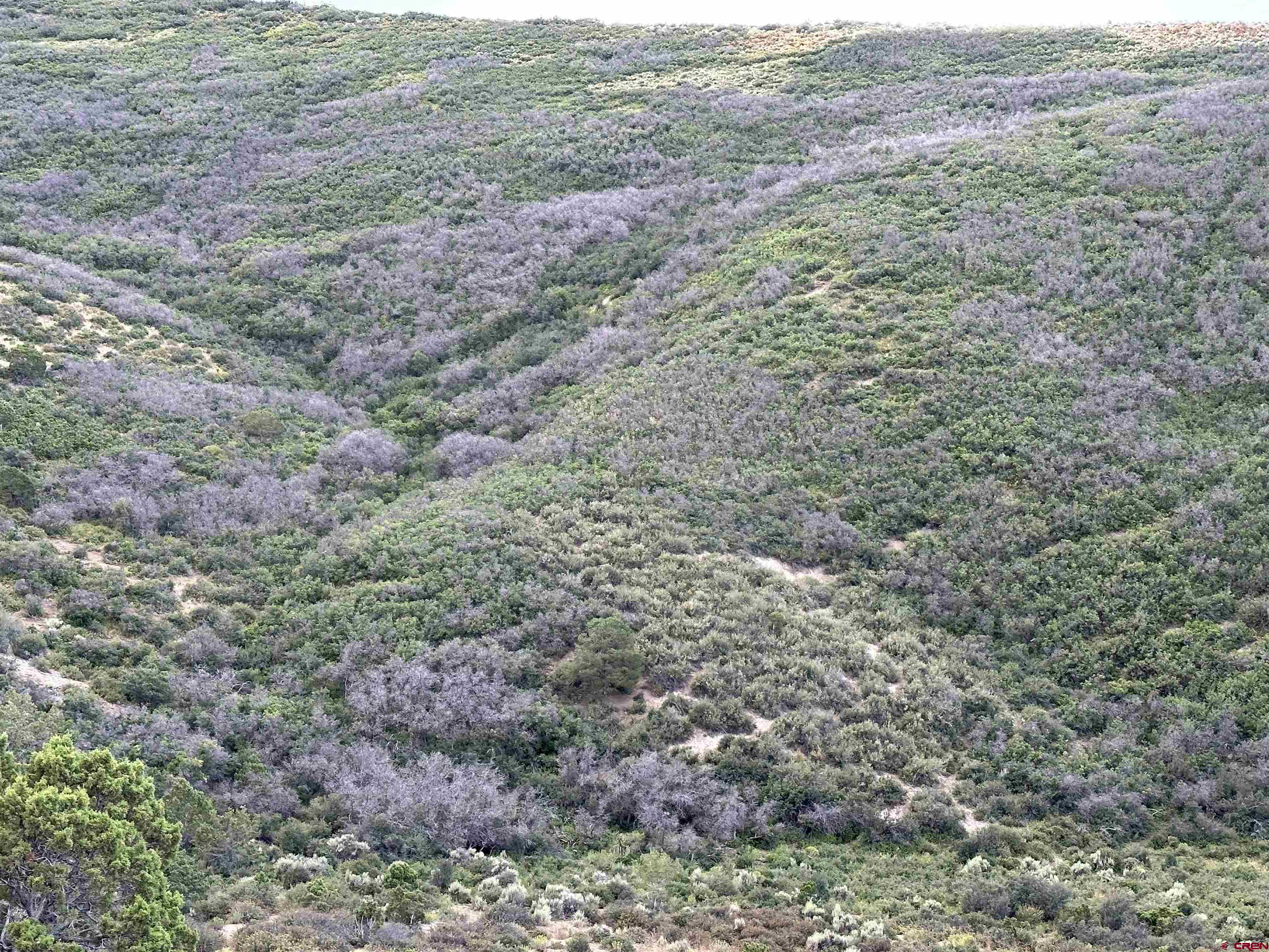 Tract 26 Cathedral Peak Ranch Crawford, CO 81415 - Photo 10 of 13 a view of a field