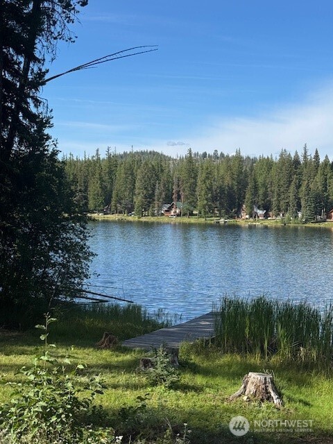 478 Thompson Road Riverside, WA 98849 - Photo 1 of 9 a view of a lake with houses in the back