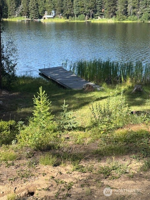 478 Thompson Road Riverside, WA 98849 - Photo 2 of 9 a view of a lake with a lake