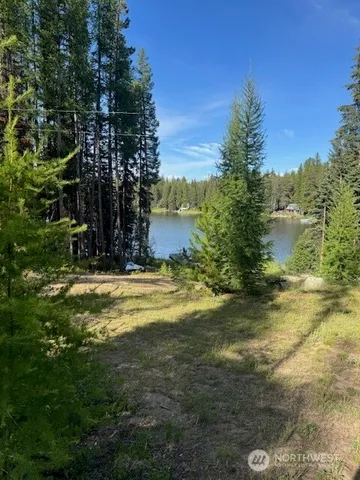 a view of a yard in front of the house