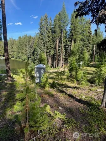 a view of a yard with plants and a bench