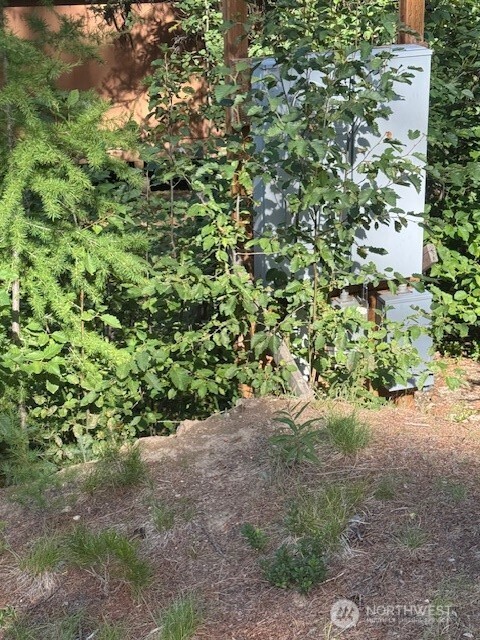 478 Thompson Road Riverside, WA 98849 - Photo 8 of 9 a view of a forest with a tree