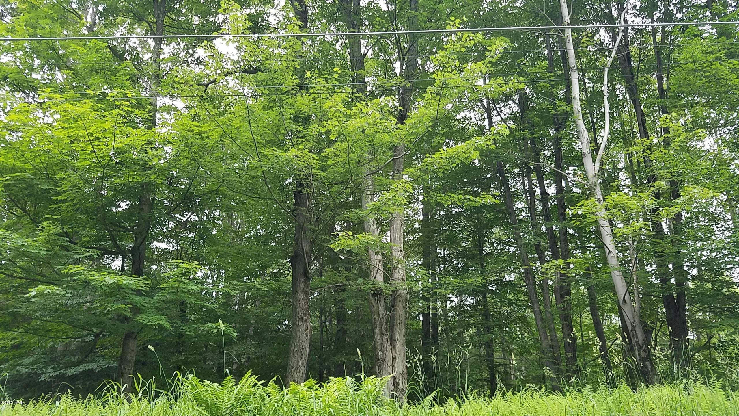 Lot 303 Sawmill Road Lake Ariel, PA 18436 - Photo 3 of 8