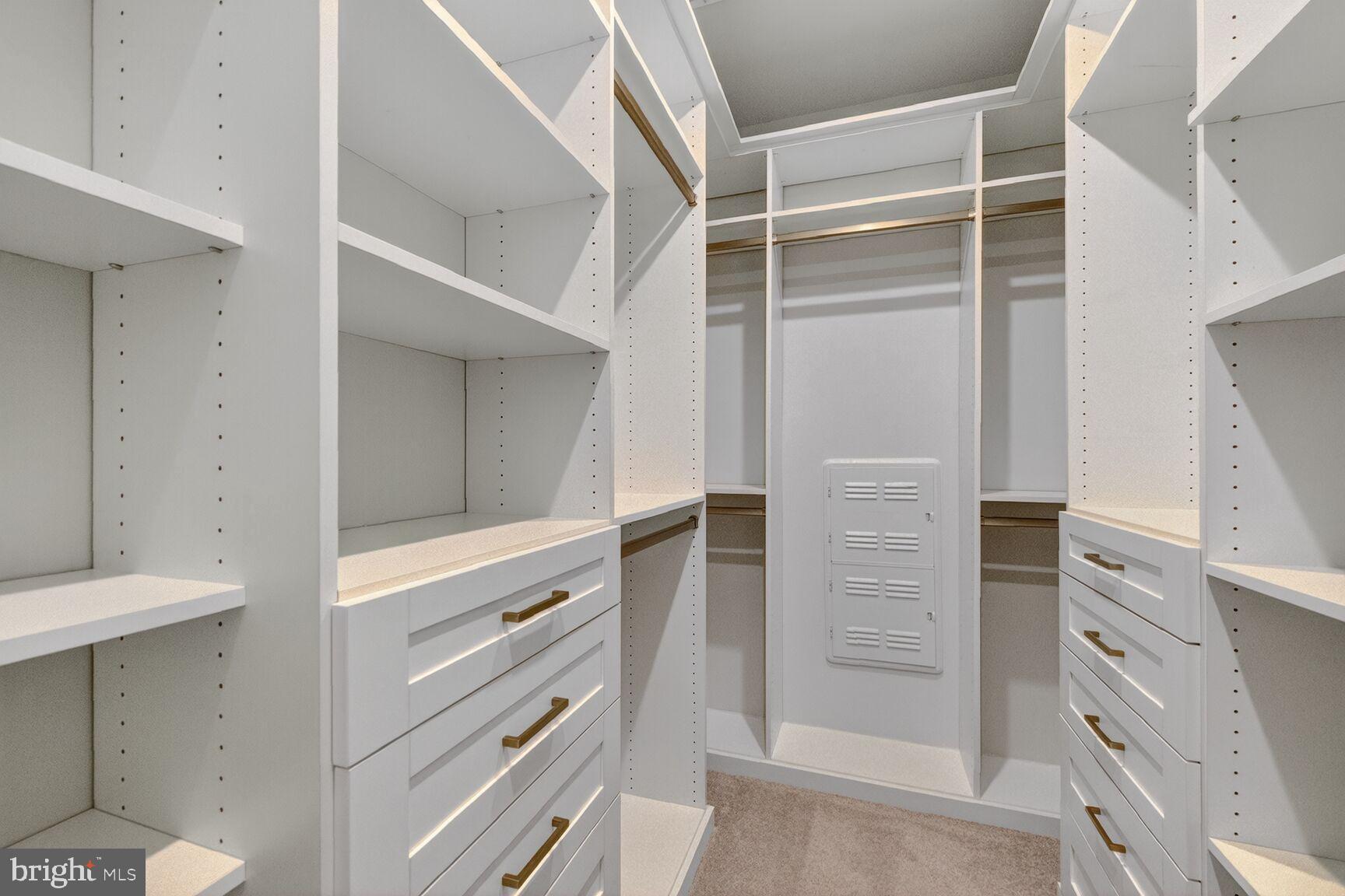 1669 Bandit Loop, Unit 301A Reston, VA 20190 - Photo 16 of 30 Custom spacious, modern walk-in closet.