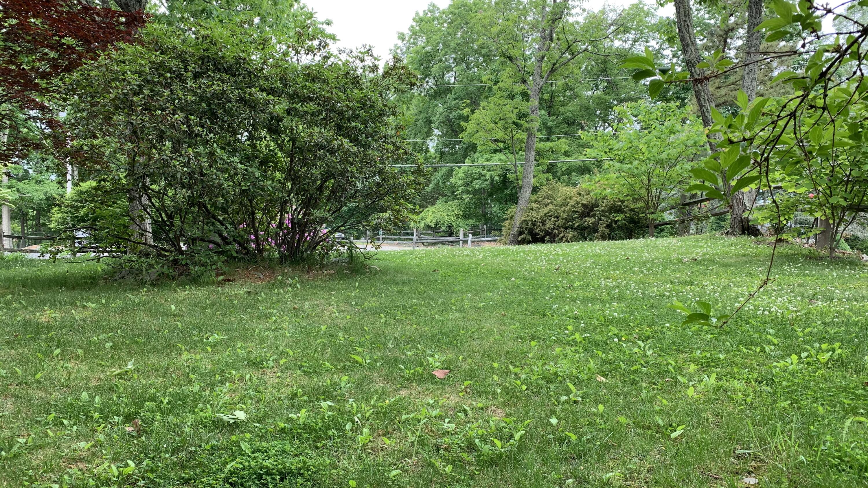 3205 Ely Court Bushkill, PA 18324 - Photo 5 of 80 a view of an outdoor space and a yard