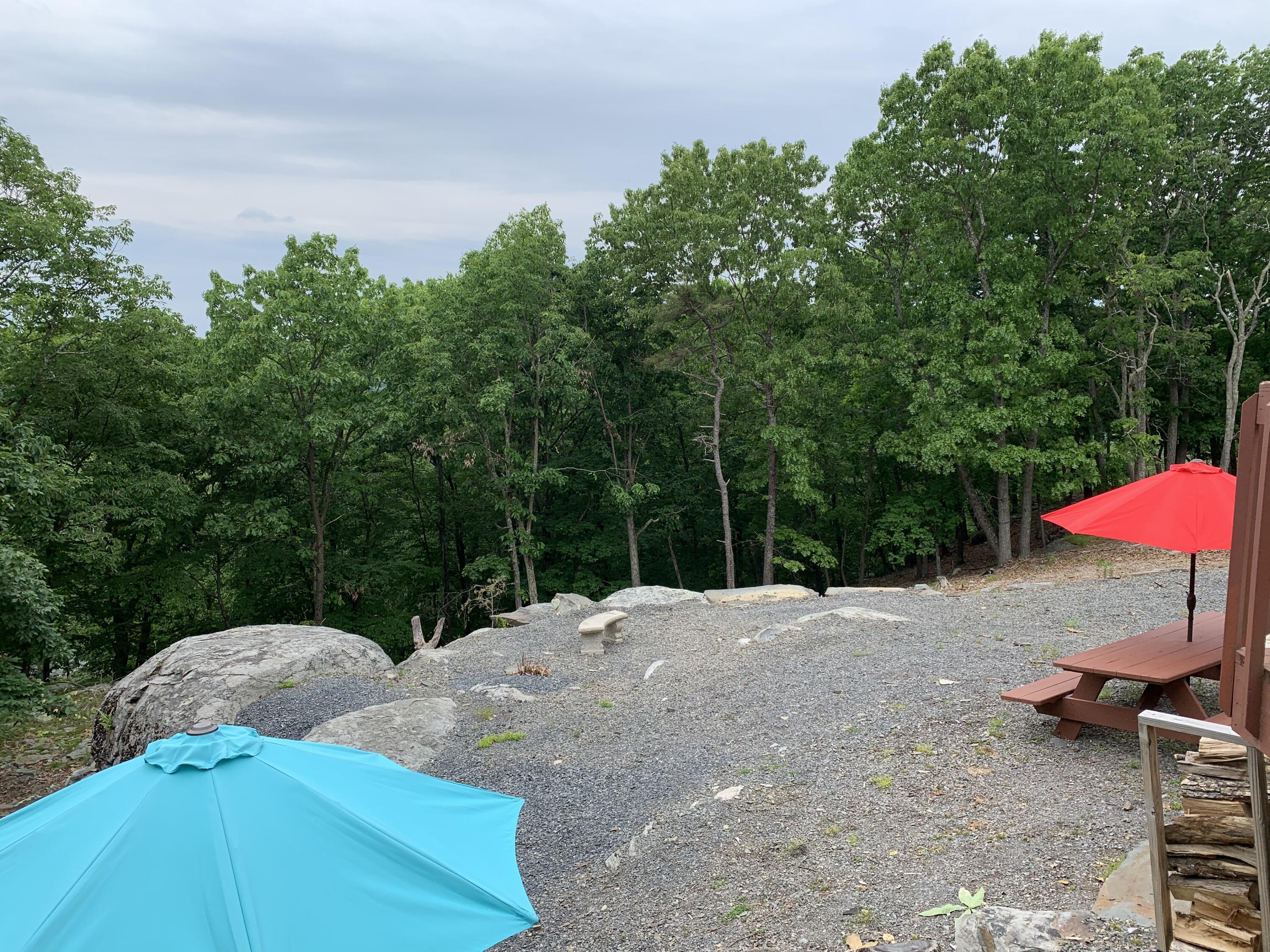 3205 Ely Court Bushkill, PA 18324 - Photo 57 of 80 a view of outdoor space yard and patio