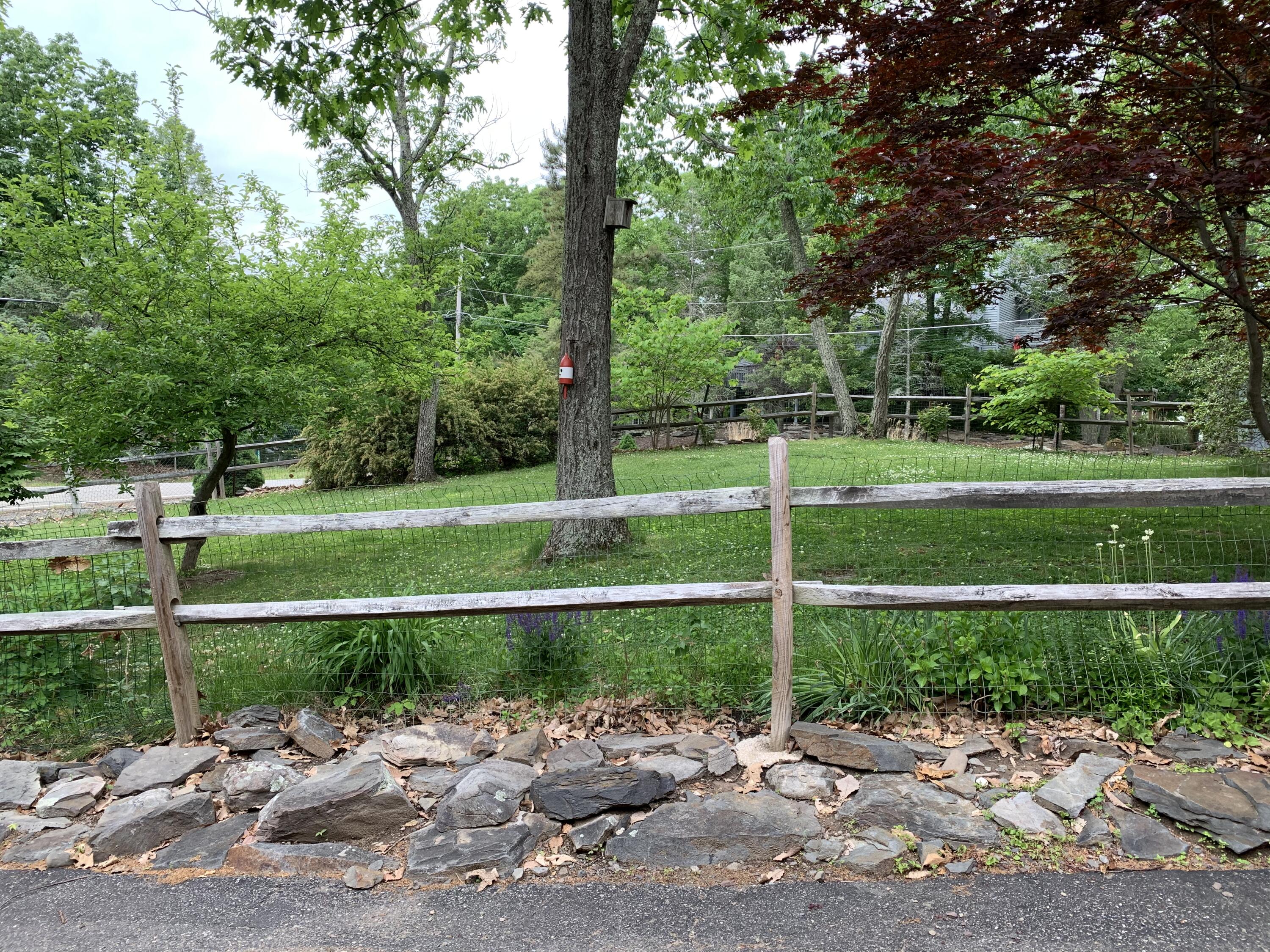 3205 Ely Court Bushkill, PA 18324 - Photo 6 of 80 a view of a park with plants and trees