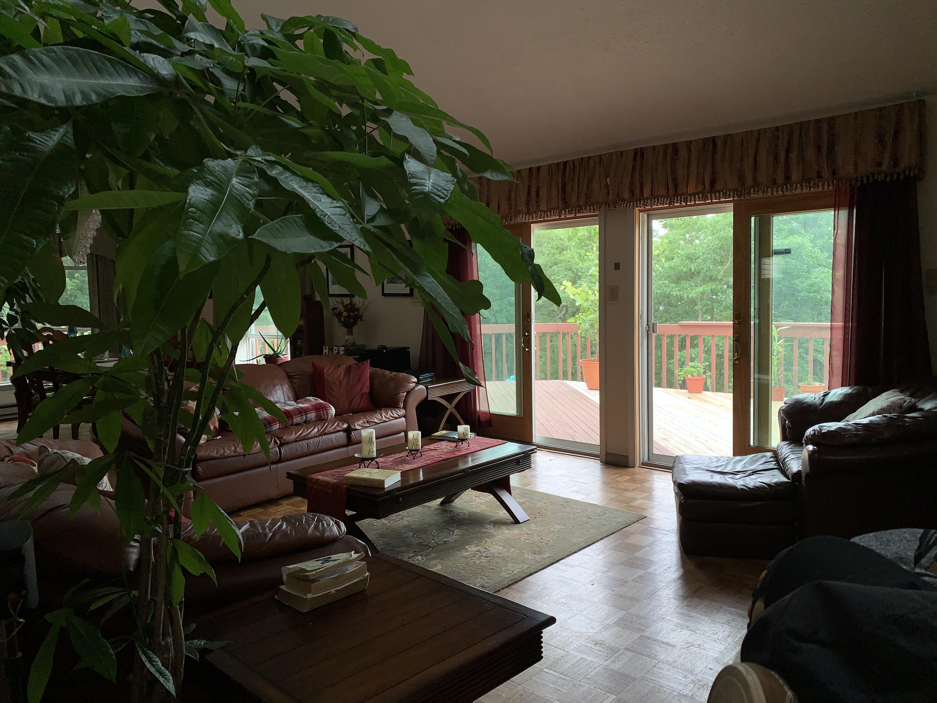 3205 Ely Court Bushkill, PA 18324 - Photo 7 of 80 a living room with patio furniture and a potted plants
