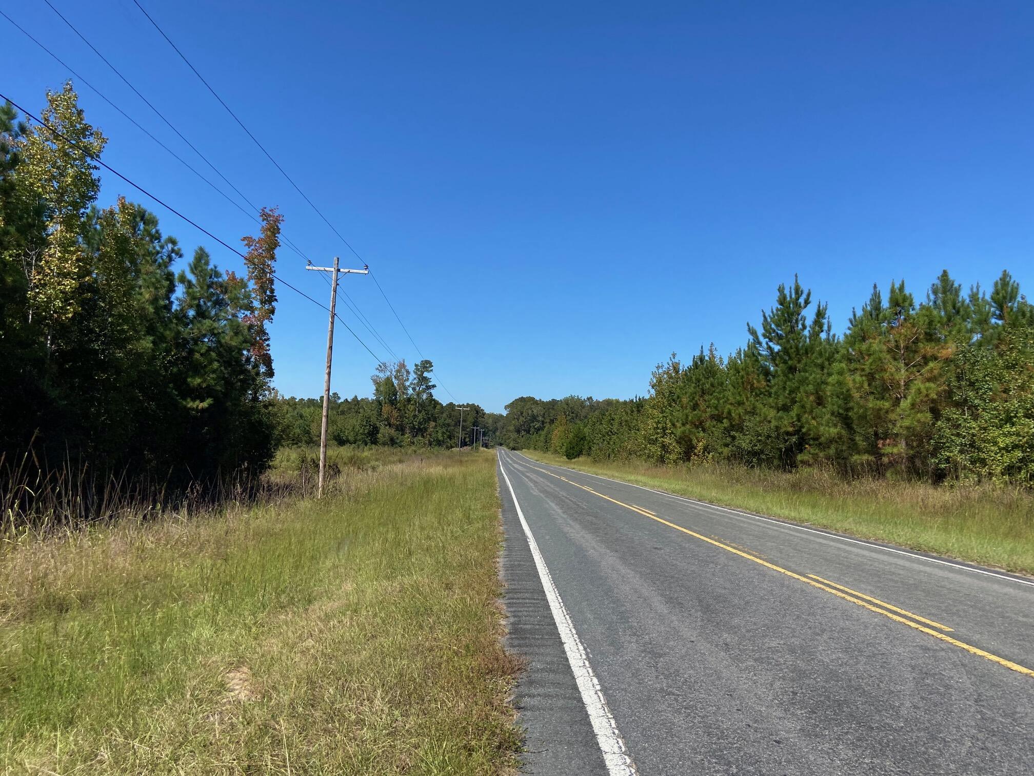 0 Todd Creek Road Neeses, SC 29107 - Photo 12 of 13 IMG_9531
