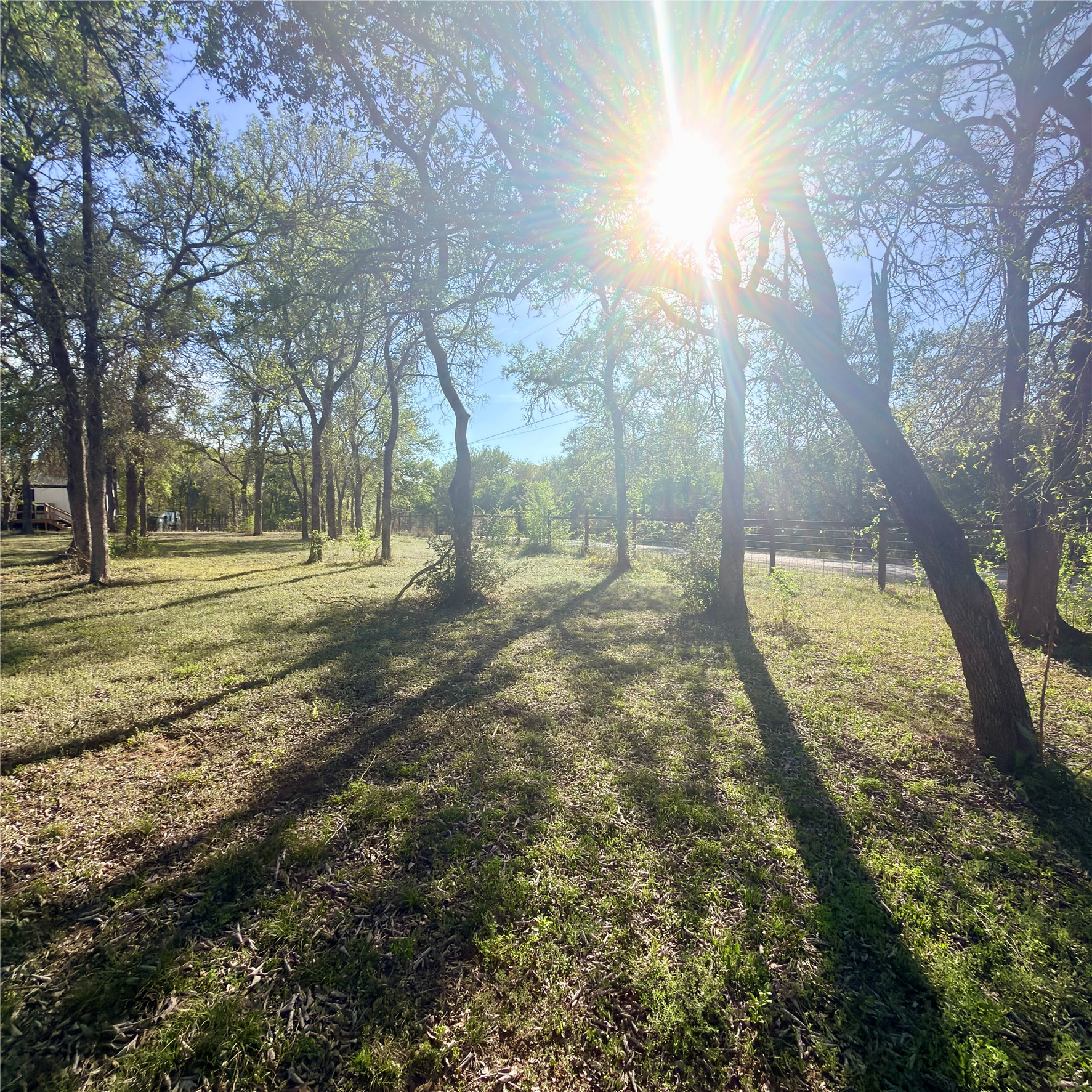 127 Comanche Trail, Unit A Elgin, TX 78621 - Photo 24 of 33 View of grassy yard