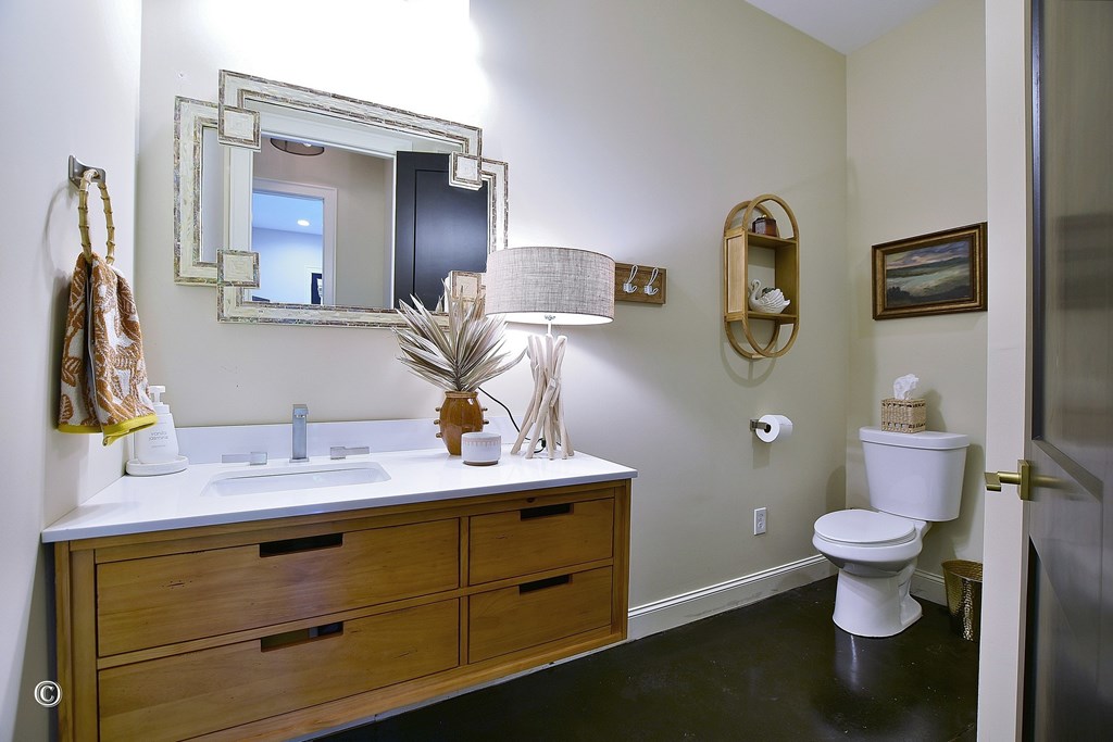 299 Coldiviees Road Hamilton, GA 31811 - Photo 30 of 55 a bathroom with a sink and a mirror