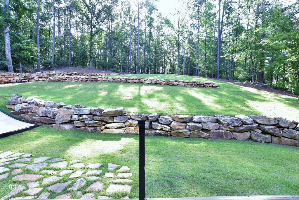299 Coldiviees Road Hamilton, GA 31811 - Photo 45 of 55 a view of a golf course with swimming pool